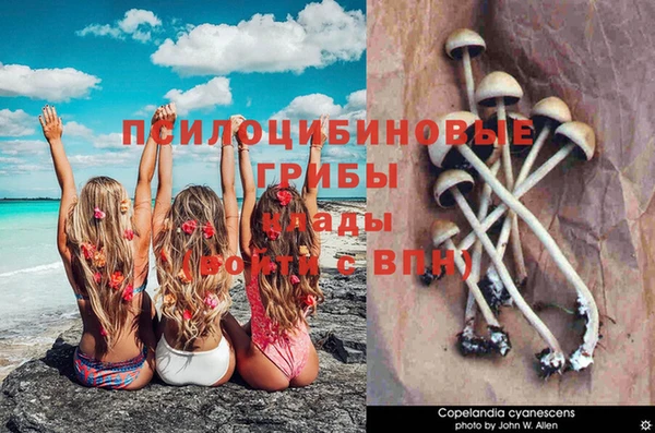 марки nbome Абинск