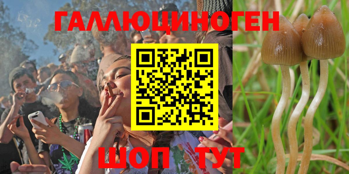 Псилоцибиновые грибы GOLDEN TEACHER  Вход с VPN  Череповец 
